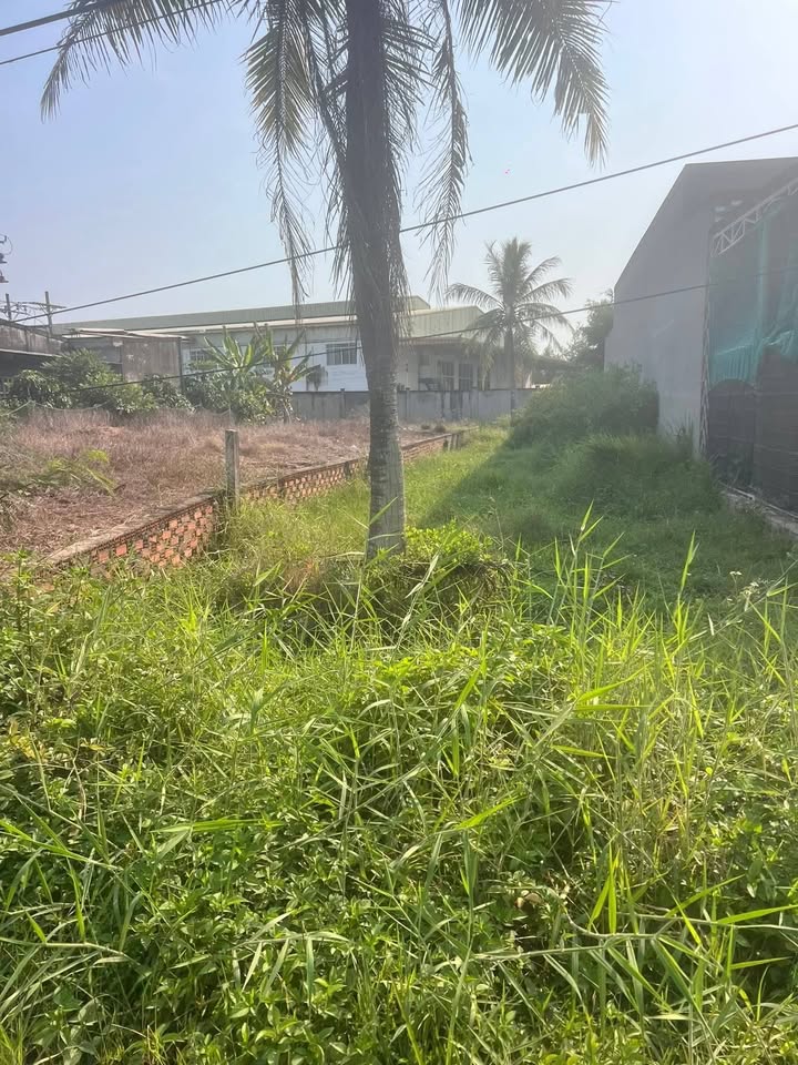 Đất mặt tiền Quốc Lộ 57B, 240m² giá 6.24 tỷ - Cơ hội đầu tư lý tưởng!