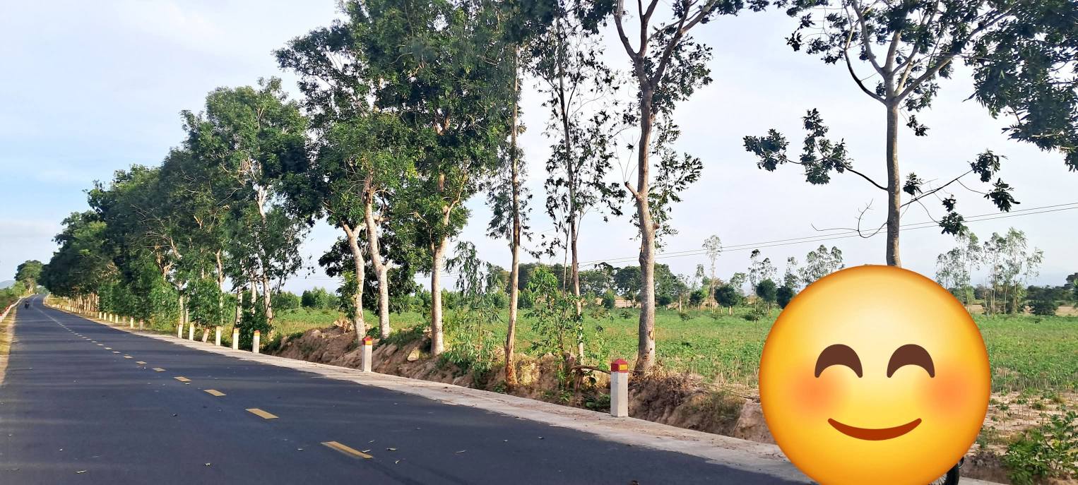 Đất đầu tư mặt tiền Quốc lộ 25 - Phú Cần 30.000m² giá 23.48 tỷ - Cơ hội hiếm có!