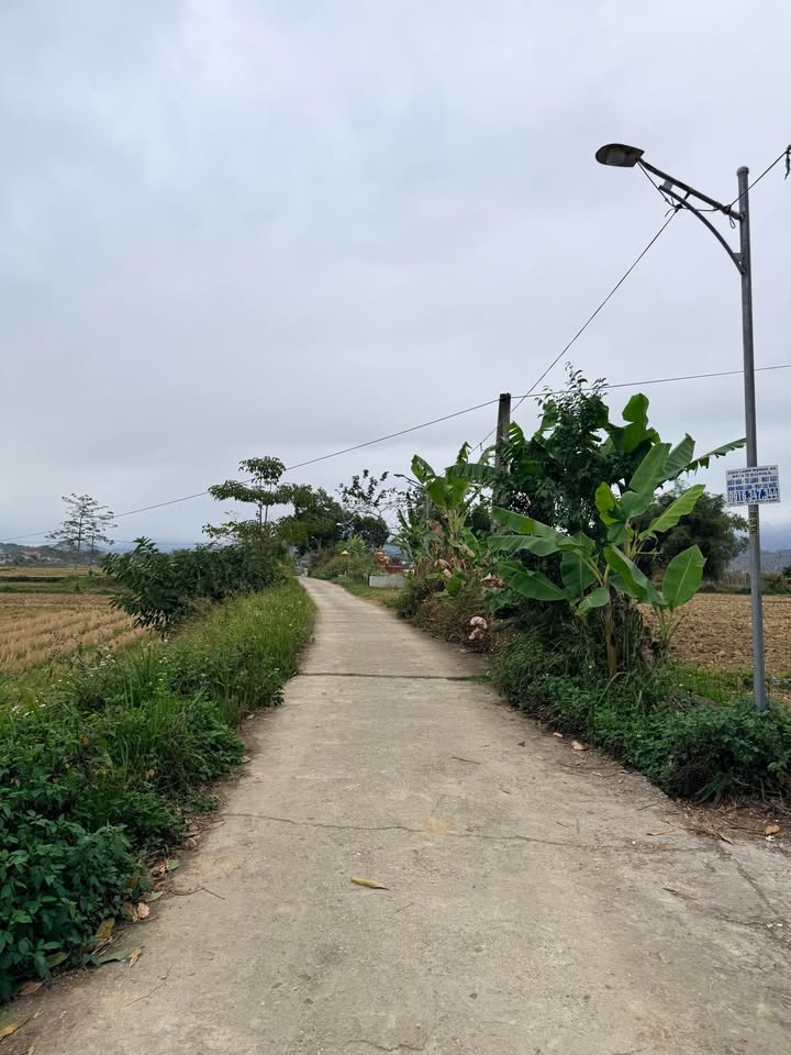 Đất vườn 400m² Hưng Đạo - Giá chỉ 800 triệu, tách lô dễ dàng!