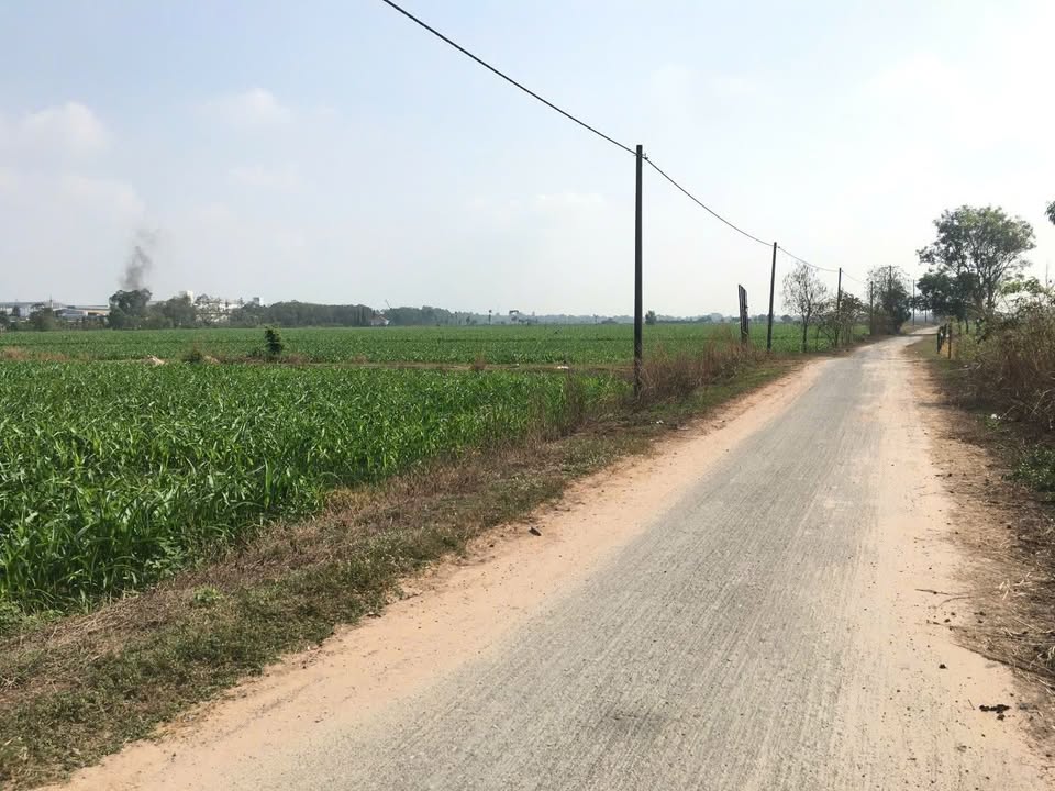 Đất nền 2570m² xã Thái Mỹ, Củ Chi - Giá tốt cuối năm chỉ 500 triệu!