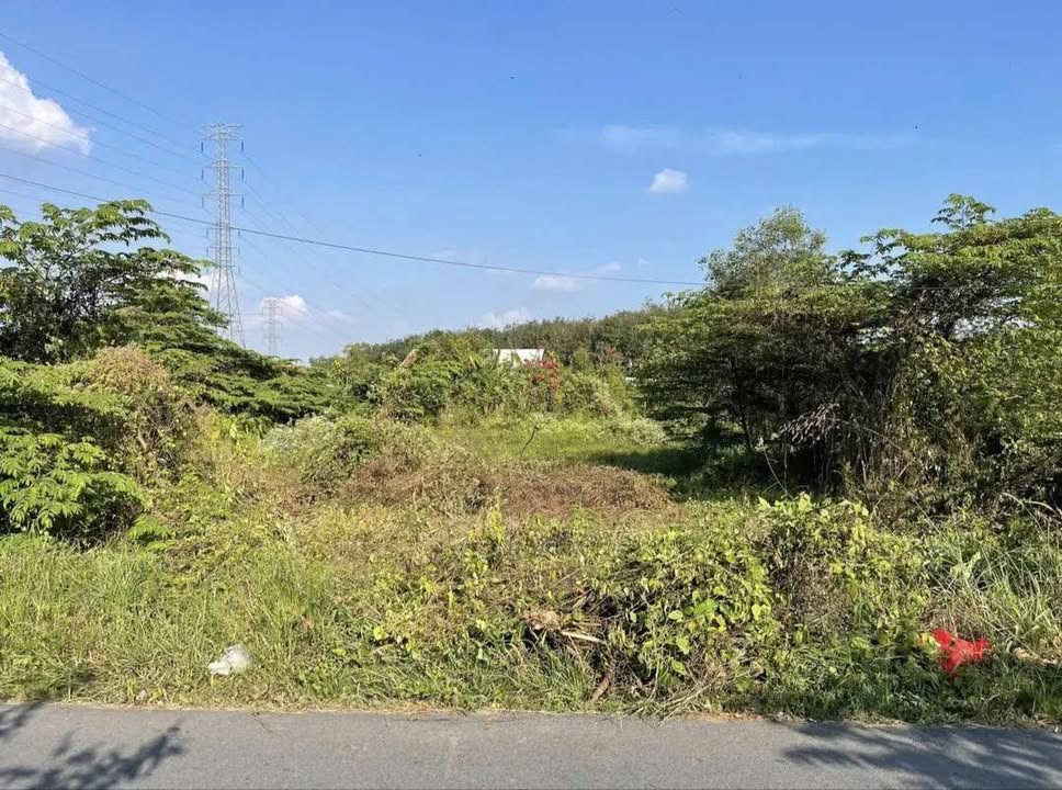 Đất thổ cư 191m² tại Tỉnh Lộ 2, Củ Chi - Giá chỉ 1.9 tỷ, thương lượng!