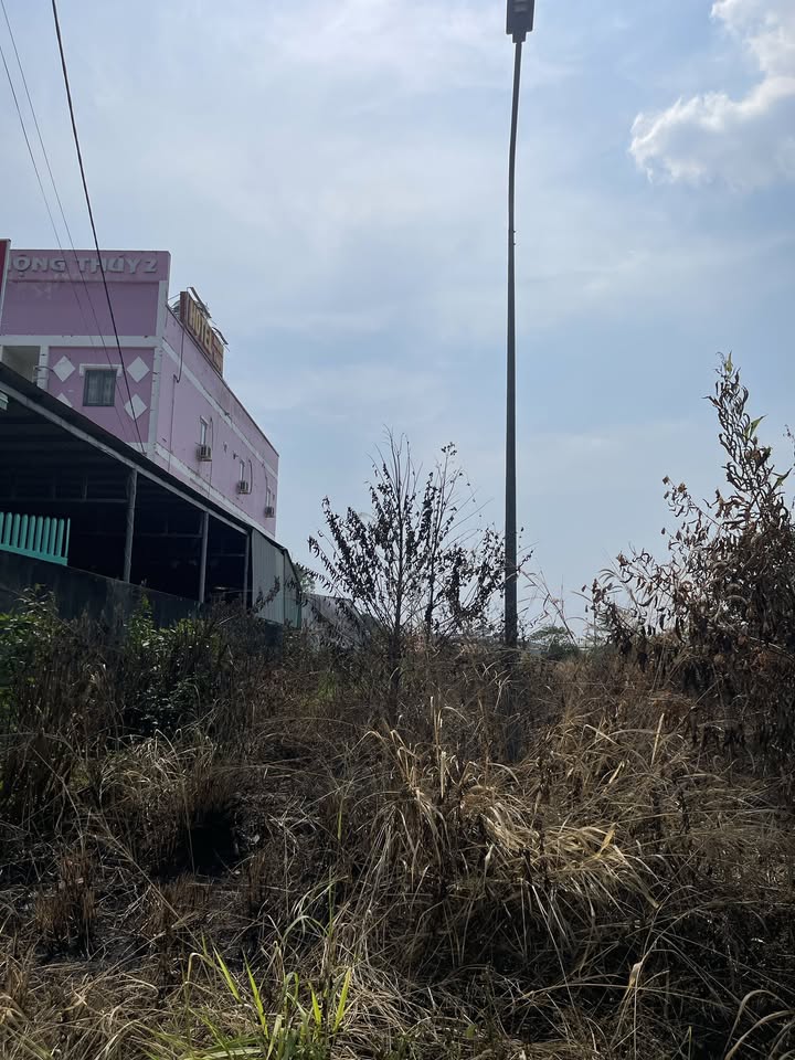 Đất thổ cư mặt tiền đường số 44, Củ Chi 118m² giá 3 tỷ - Sổ hồng riêng, xây mới ngay!