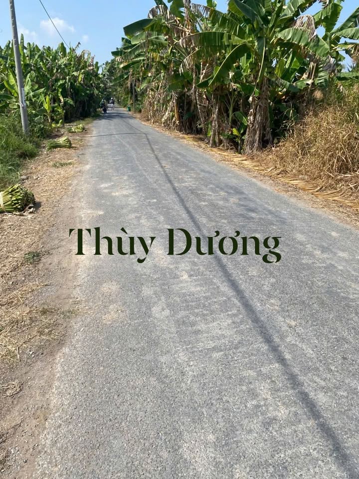 Đất nền thổ cư 2000m² gần chợ Tân Kiều - Giá chỉ 1.4 tỷ