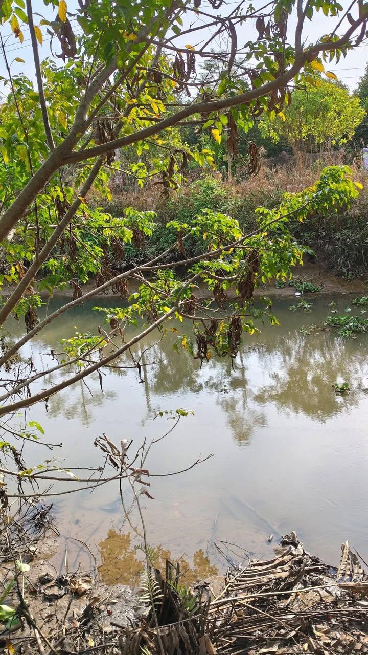 Đất nền xã Hiệp Đức, huyện Cai Lậy 95m² giá 500 triệu - Sổ riêng chính chủ!