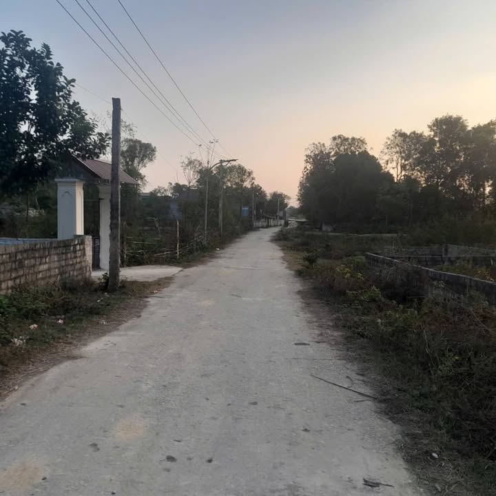 Đất rừng sản xuất 11ha tại Hoằng Hóa giá 1.1 tỷ - Cơ hội đầu tư hấp dẫn!