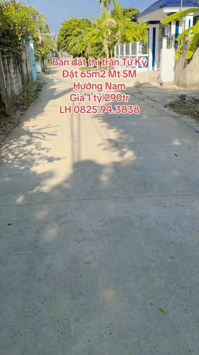 Đất nền mặt đường Thái Nguyên, TT Tứ Kỳ 65m² - Cơ hội đầu tư tuyệt vời!
