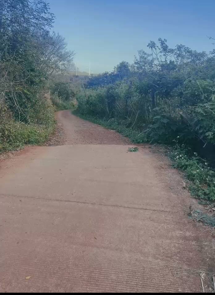 Đất nền xã Ea Nuôl, huyện Buôn Đôn, 1332m² giá 1.5 tỷ - Sổ đỏ chính chủ