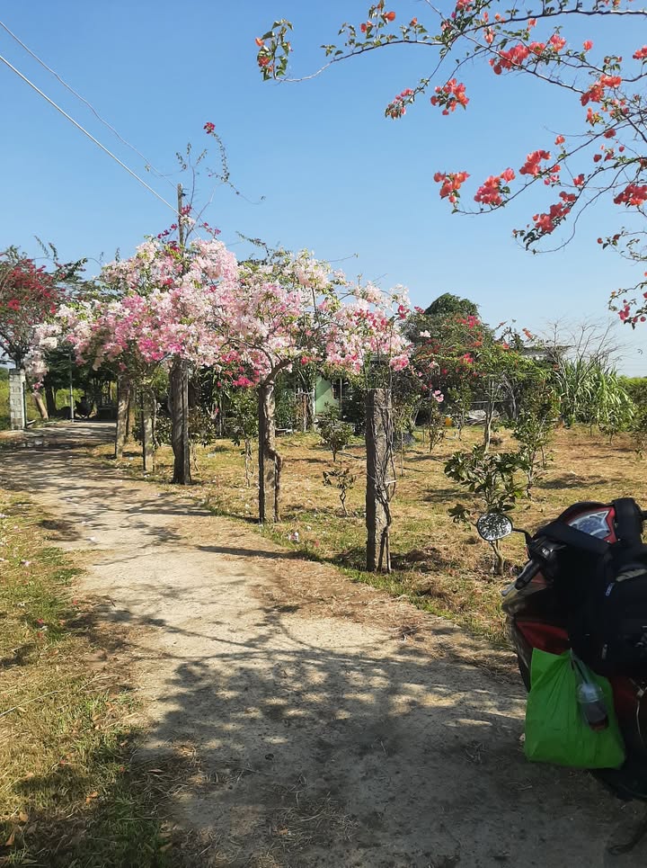 Đất nền 500m² xã Hàm Liêm - Giá chỉ 250 triệu, cơ hội đầu tư tuyệt vời!