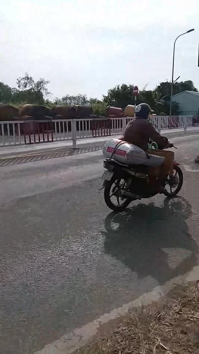 Đất mặt tiền Quốc lộ 53, Thị trấn Định An, 296m² giá 5.928 tỷ - Cơ hội đầu tư tuyệt vời!