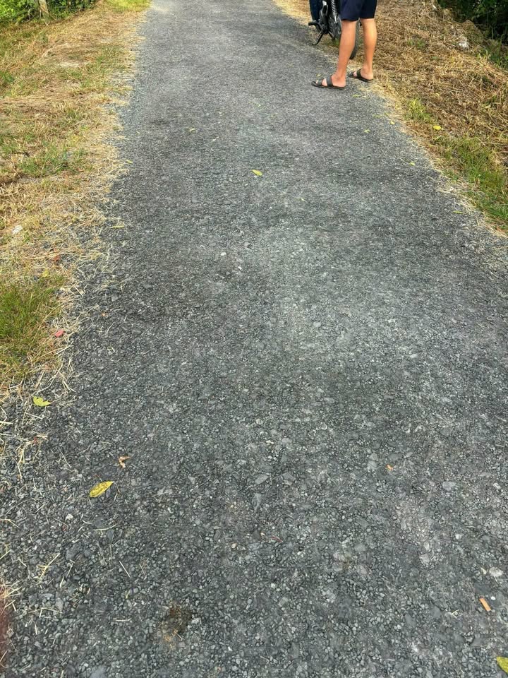 Đất nền xã Phú Quới, huyện Long Hồ, 5338m² giá 3.203 tỷ - Đường nhựa xe tận nơi!