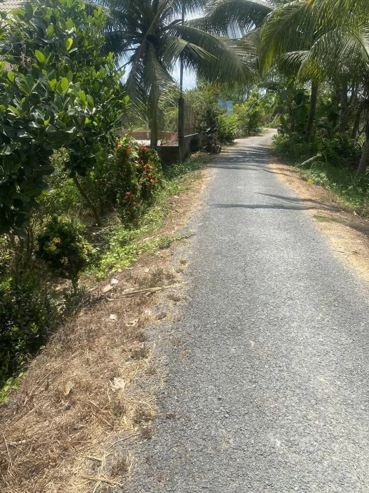 Đất thổ cư 127m² xã Mỹ Phước, Mang Thít, Vĩnh Long giá 600 triệu - Sổ hồng riêng chính chủ!