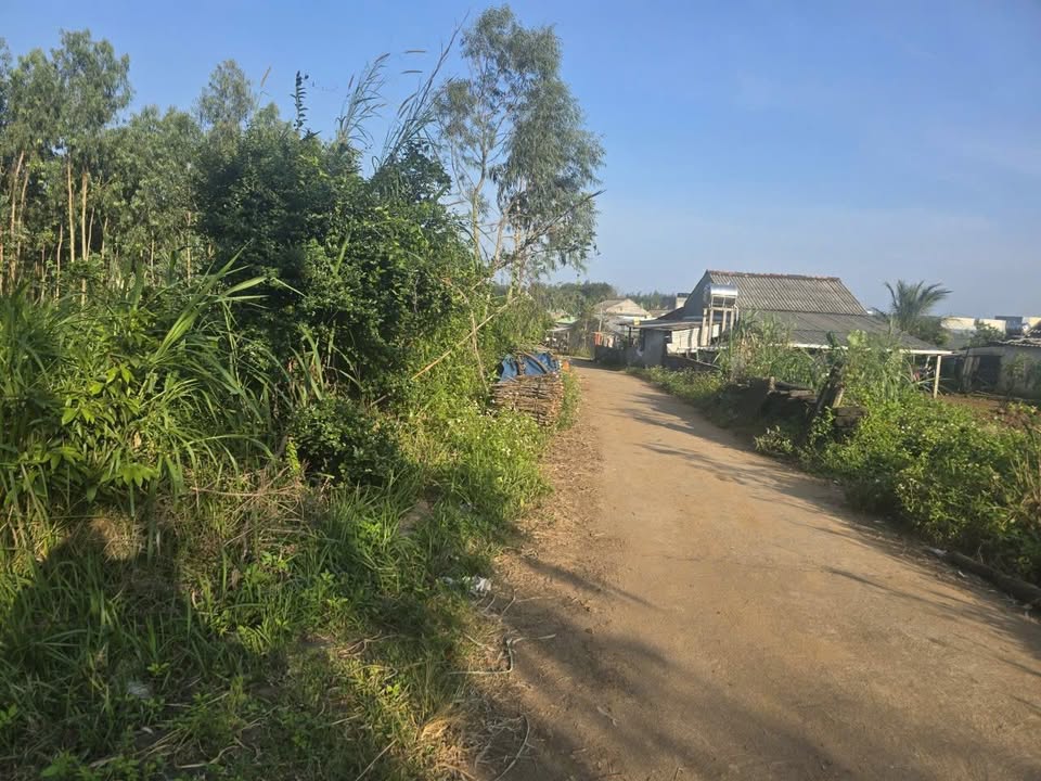 Đất trồng cây hàng năm tại Bình Phú 21,600m² - Vị trí đẹp, gần biển!