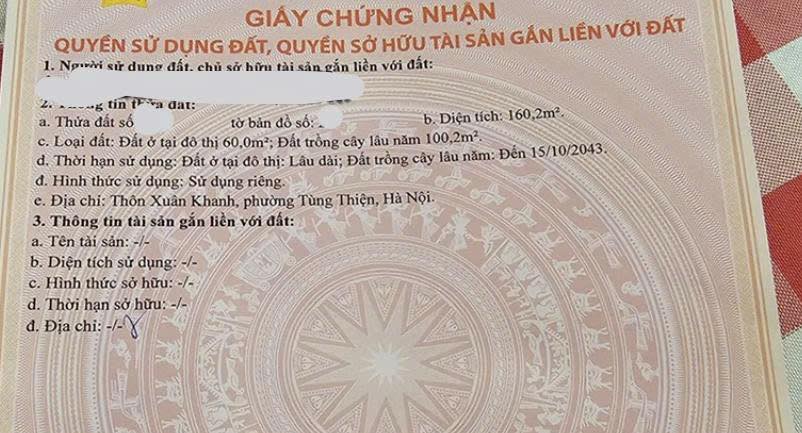 Đất nền 160m² tại Phường Tùng Thiện, Sơn Tây - Sổ đỏ chính chủ, giá thỏa thuận!