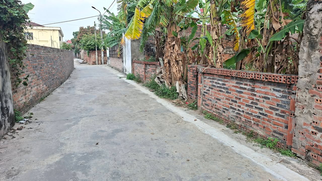 Đất thổ cư TDP Tân Sơn, Bắc Ninh 274m² giá chỉ 2.7 tỷ - Đầu tư sinh lời ngay!