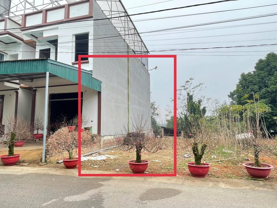 Đất nền 125m² tại khu 3, Xã Hy Cương, giá 2 tỷ - Cơ hội đầu tư hấp dẫn!