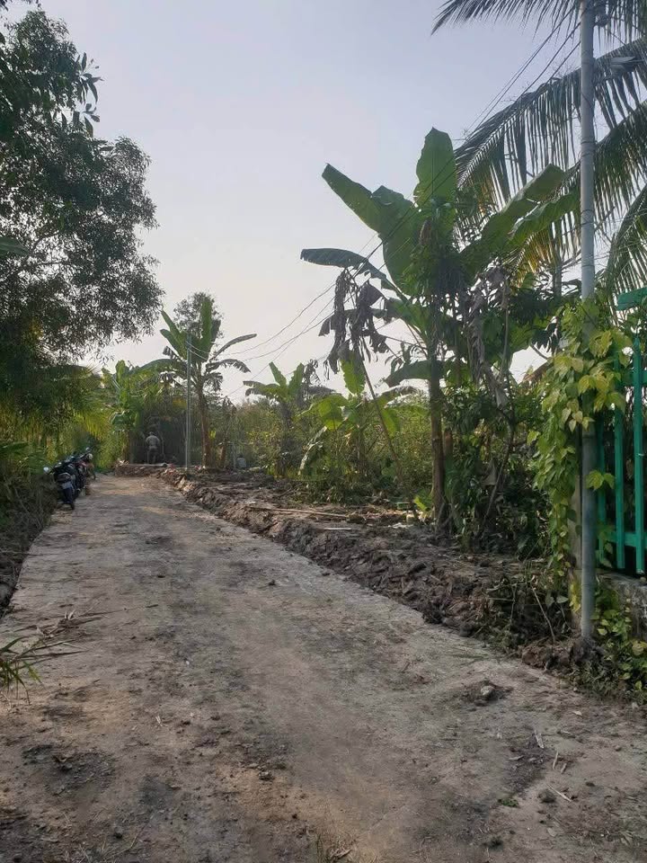 Đất Lúa, Mỹ Khánh, Cần Thơ 2540m² - Đầu tư nghỉ dưỡng lý tưởng!