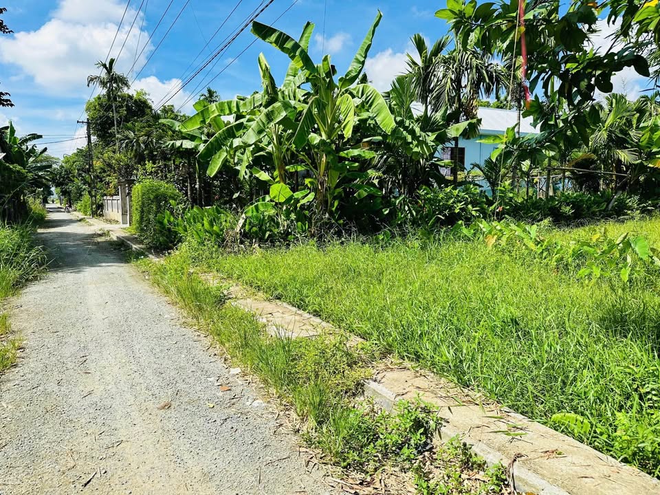 Đất nền Kim Trà, Hương Trà, 140m² giá chỉ 550 triệu - Cơ hội đầu tư hấp dẫn!