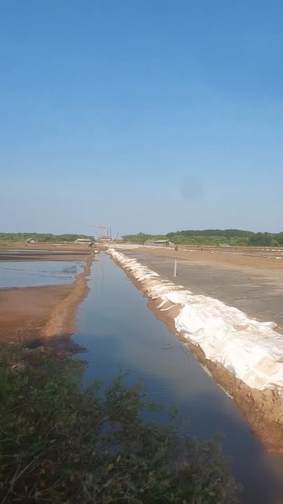 Đất nền Bảo Thạnh, Ba Tri 60.000m² giá 1.8 tỷ - Cơ hội đầu tư hấp dẫn!