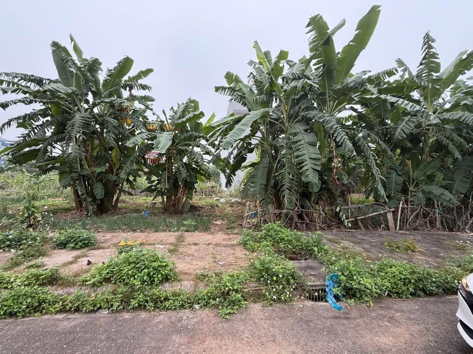 Bán đất TĐC An Tràng, Trường Sơn, An Lão 100m² giá 1 tỷ - Đầu tư sinh lời ngay!