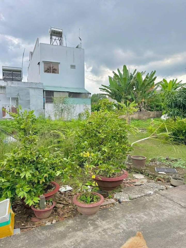 Đất nền phường 5, TP Mỹ Tho, 96,8m² giá 1 tỷ - Cơ hội đầu tư tốt!