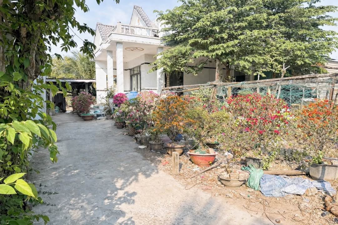 Đất nền Phường Phú Khương, TP Bến Tre 122m² giá 450 triệu - Cần bán gấp!