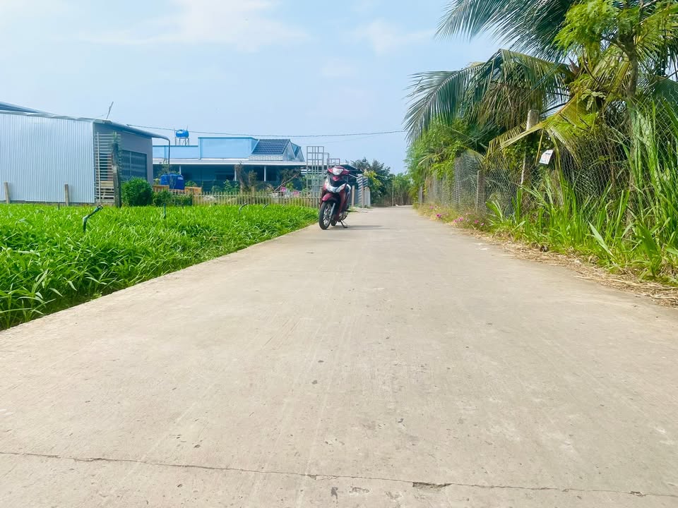 Đất mặt tiền Khu phố Thuận Hoà, 554m² giá 1.5 tỷ - Sổ đỏ chính chủ!