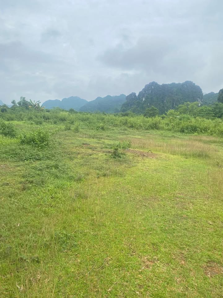 Đất nền nghỉ dưỡng tại Hữu Lợi, Yên Thủy, 2256m² - Giá chỉ 1 tỷ!