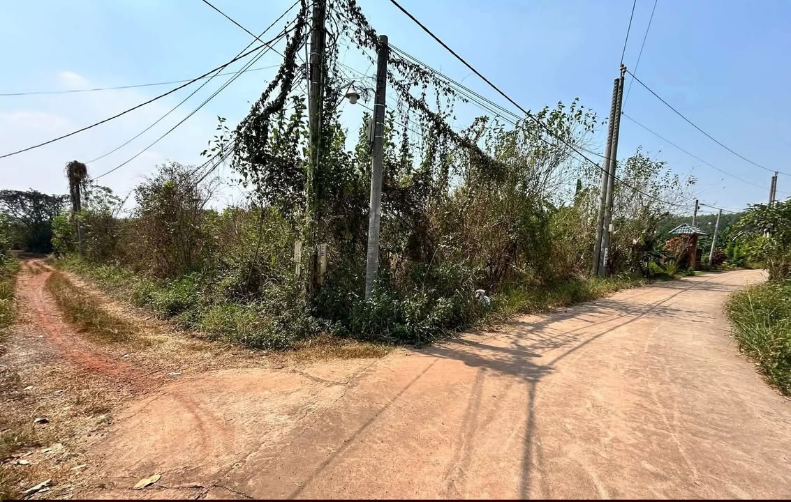 Đất nền lô góc 570m² giá 1.4 tỷ - Gần chợ, trường học tiện ích