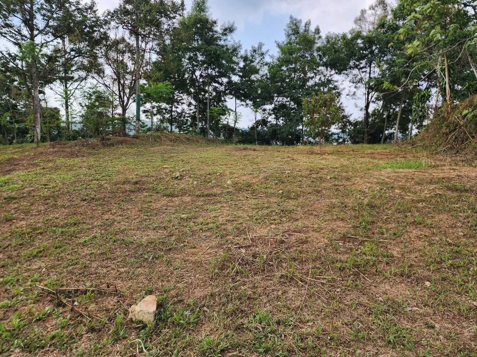 Đất nền 360m² xã Lộc Châu Bảo Lộc giá 1.2 tỷ - Sổ đỏ chính chủ