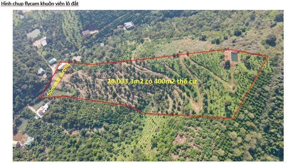 Farm 2ha tại Tân Lạc, Bảo Lâm - Đầu tư sinh lời chỉ với 8 tỷ