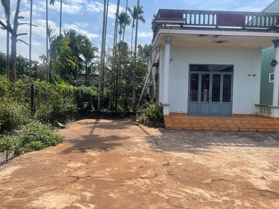 Đất thổ cư Hòa Thắng, Buôn Ma Thuột 348m² giá 3.3 tỷ - Cơ hội đầu tư tuyệt vời!