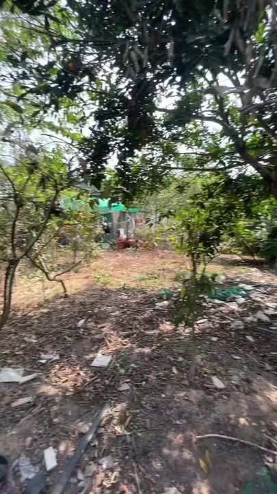 Đất Farm 2000m² mặt tiền đường tại Vĩnh Tân, Đồng Nai - Giá chỉ 1 tỷ!