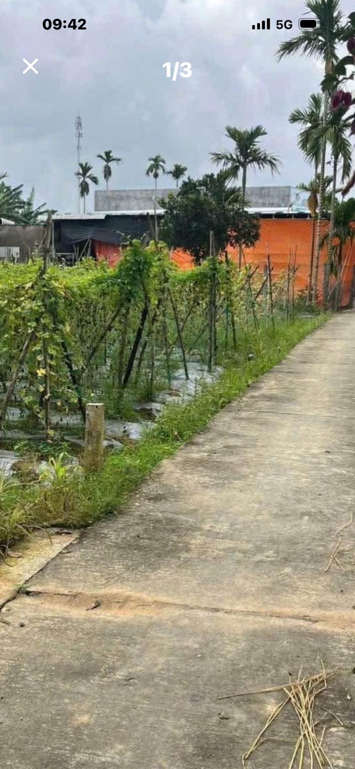 Đất nền Tư Nghĩa 110m² giá chỉ 200 triệu - Đầu tư thông minh cho tương lai!