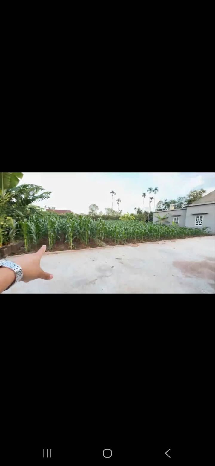 Mảnh vườn xinh tại xã Vĩnh Cường, huyện Thanh Hà, 186m² giá chỉ 500 triệu - Không gian yên tĩnh lý tưởng!