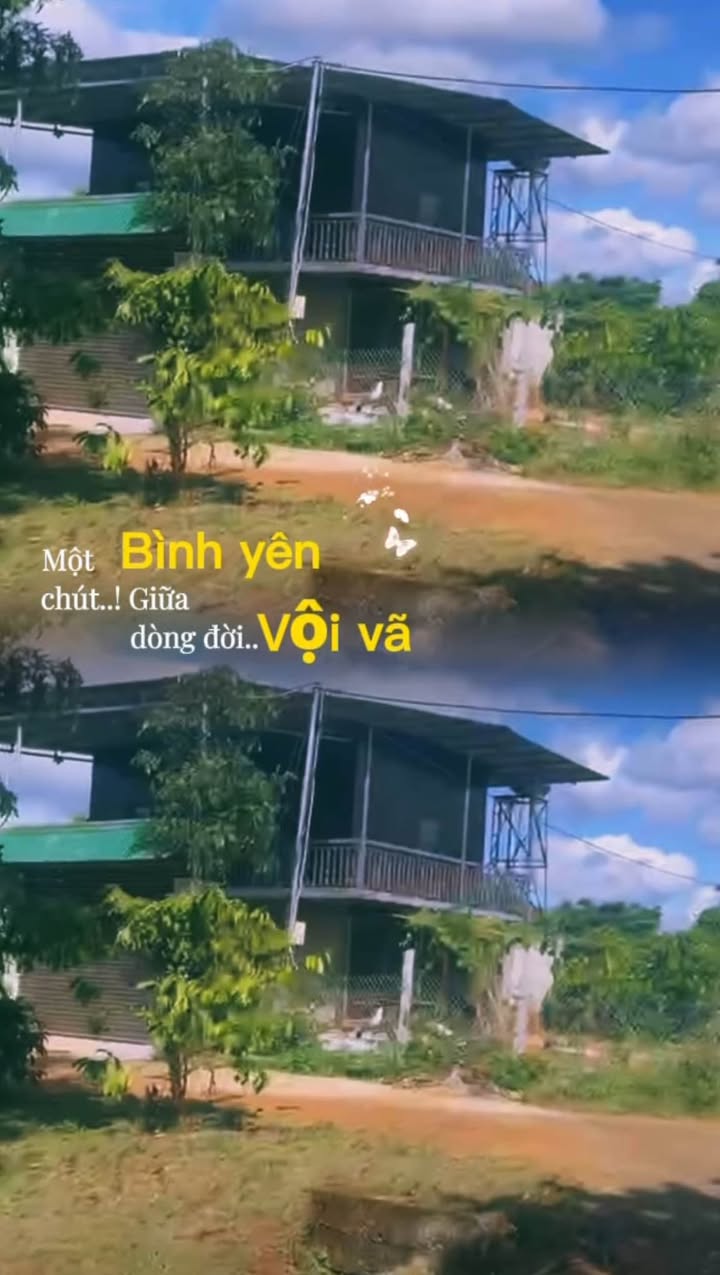 Đất 2 mặt tiền Phường Thành Nhất 535m² giá 850 triệu - Cơ hội đầu tư tuyệt vời!