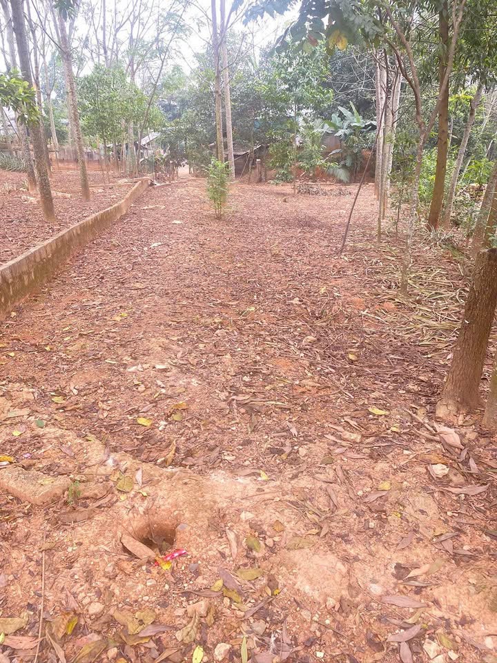 Đất thổ cư 300m² tại Xóm Búm, Lạc Sơn - Gần trường Đại Đồng, giá thỏa thuận!