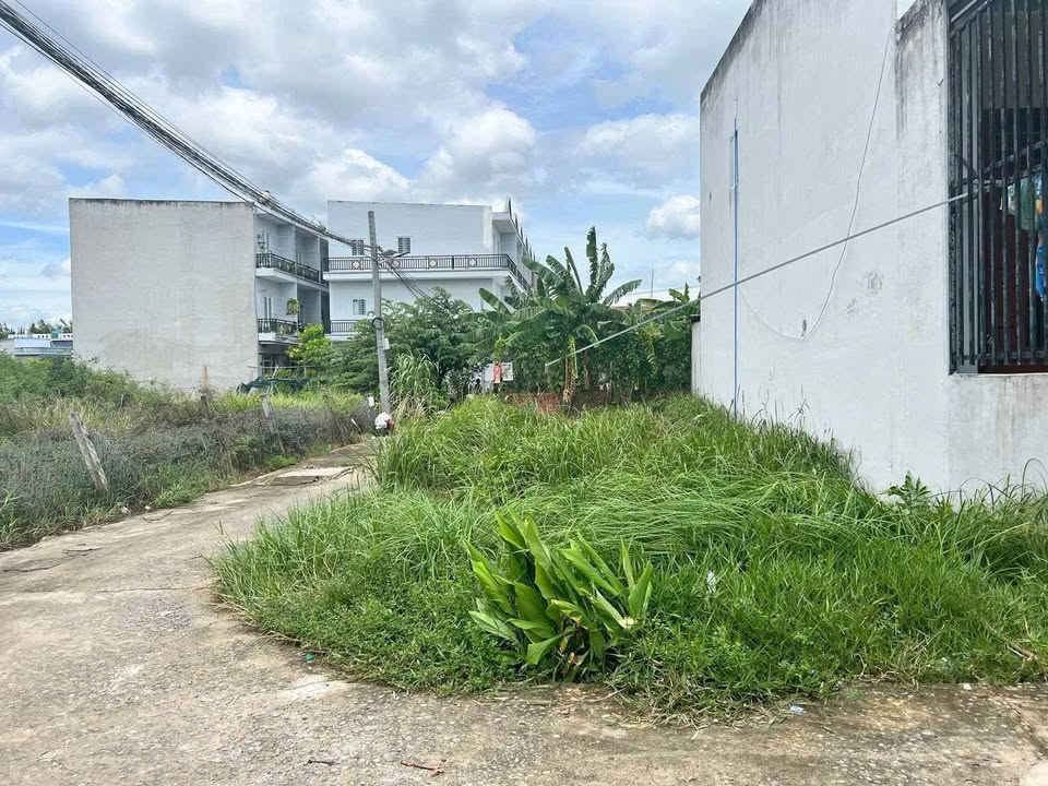 Đất nền góc 2 mặt tiền Quốc lộ 50, xã Phước Lại, 80m² - Giá tốt thương lượng!