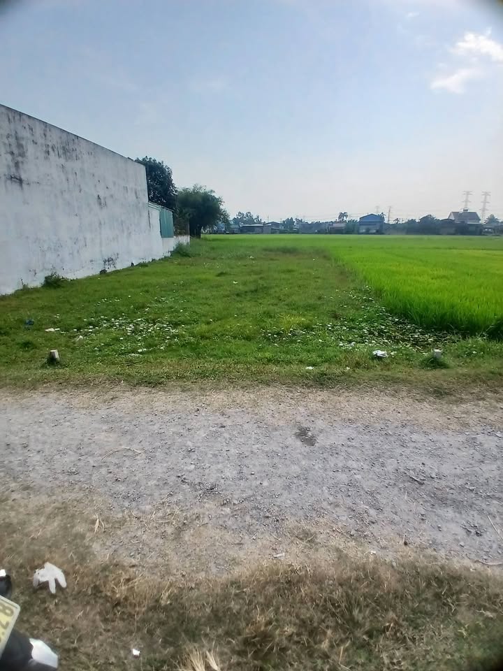 Đất thổ cư Ấp Mới 1, Đức Hòa 130m² giá 1.3 tỷ - Sổ hồng chính chủ, bao sang tên!