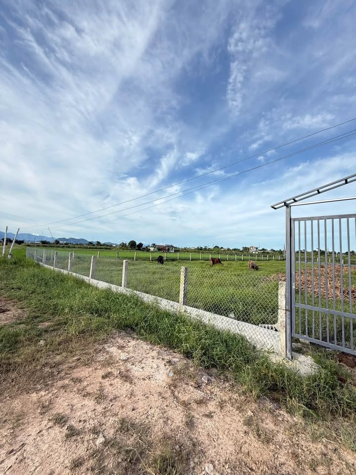 Đất nền mặt tiền kênh N29 Hàm Liêm 2000m² giá 1.28 tỷ - Sổ hồng chính chủ