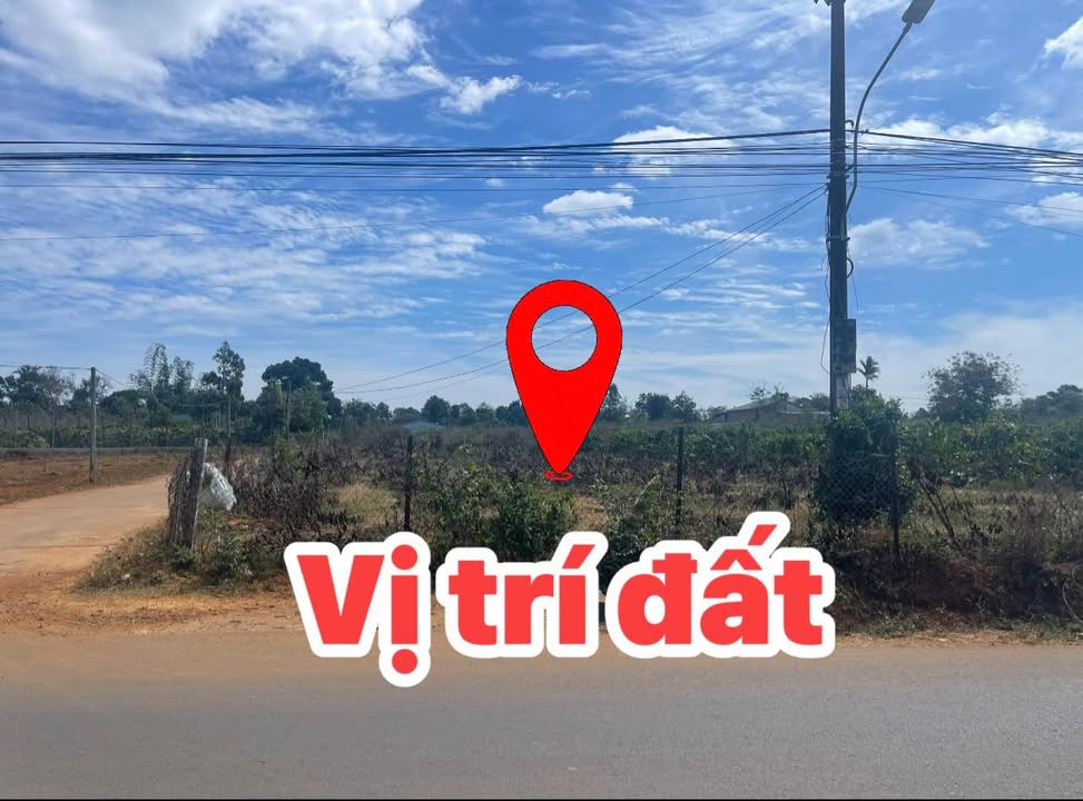 Đất nền mặt tiền Đào Duy Từ, Biển Hồ, 260m² - Cơ hội đầu tư hấp dẫn!