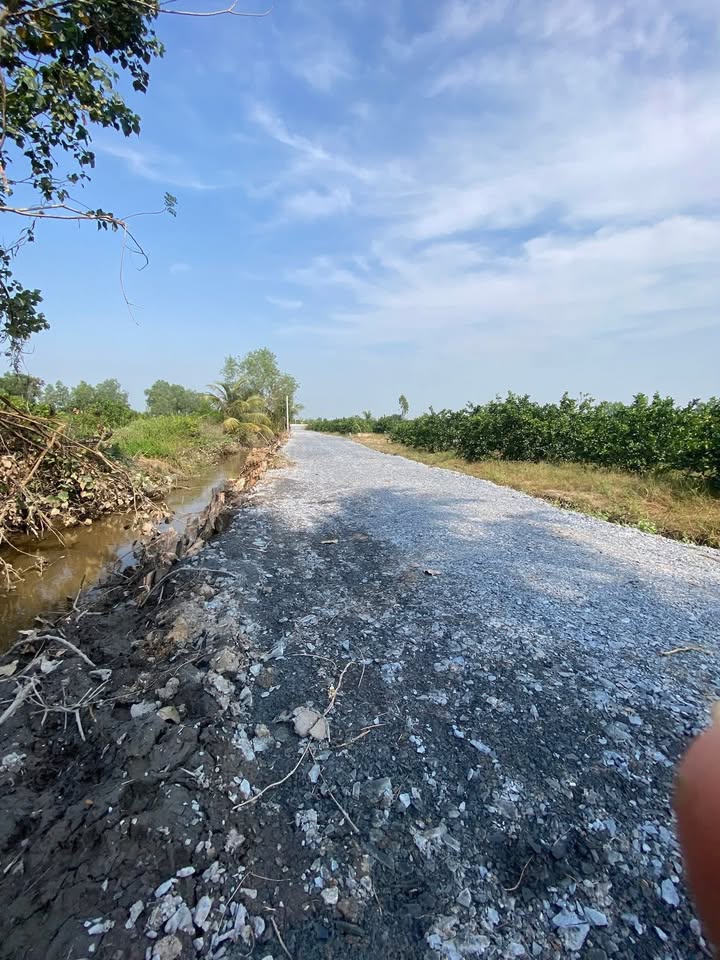 Đất vườn xã Thạnh Lợi, Bến Lức 500m² giá 350 triệu - Đầu tư sinh lời ngay!