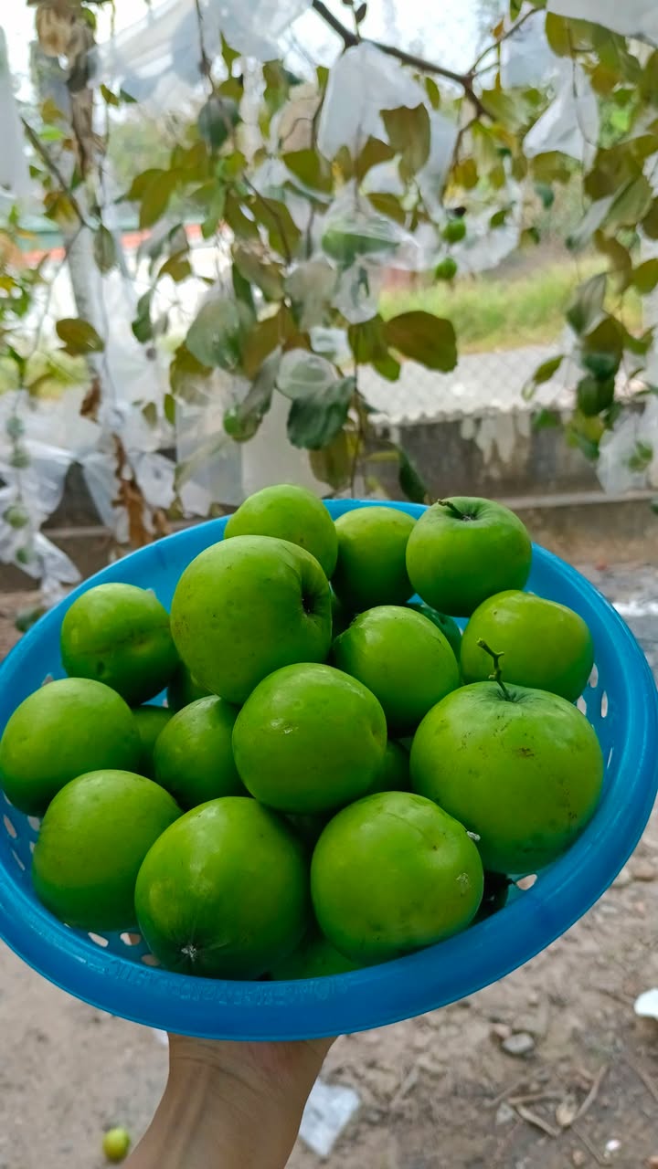 Nhà riêng xã Chà Là, Huyện Dương Minh Châu, 160m² giá 800 triệu - Cơ hội đầu tư không thể bỏ lỡ!