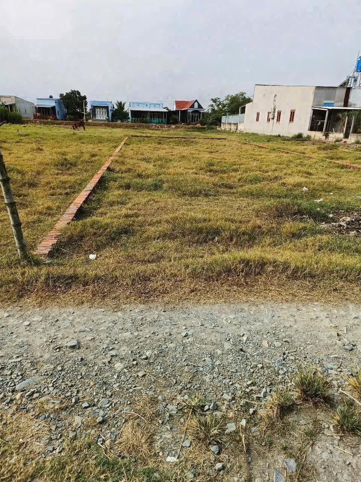 Đất nền xã Mỹ Hạnh Nam, Đức Hòa, Long An 150m² giá 980 triệu - Sổ hồng riêng chính chủ!