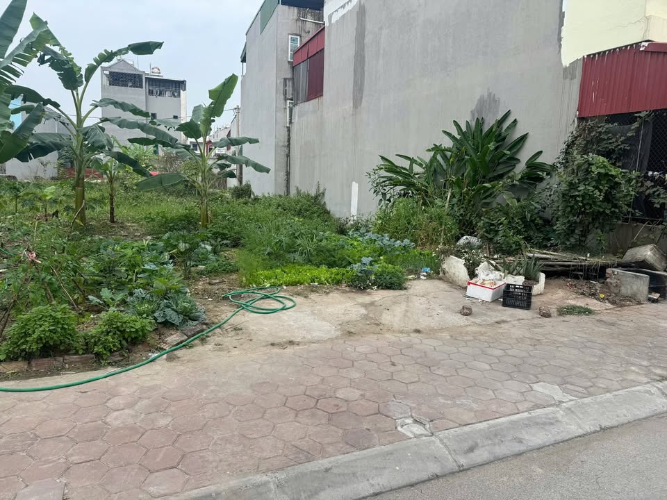 Đất thổ cư Phượng Mao, Quế Võ 100m² giá 3 tỷ - Vị trí đắc địa, giao thông thuận lợi!