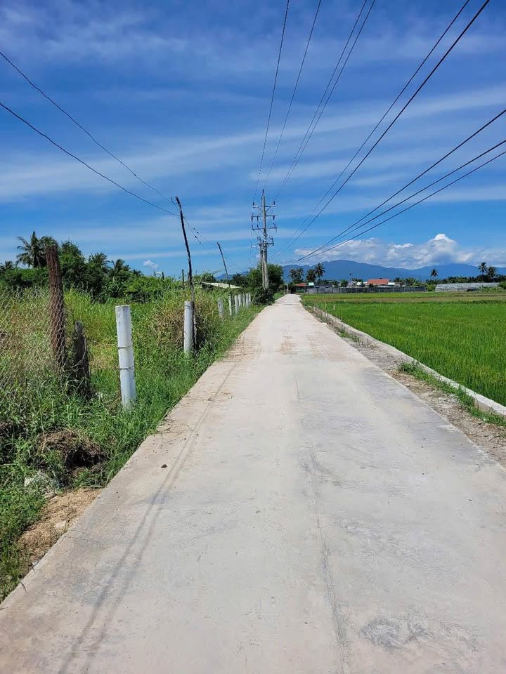 Đất nền Huyện Đức Trọng 100m² giá 180 triệu - Đầu tư sinh lời ngay!