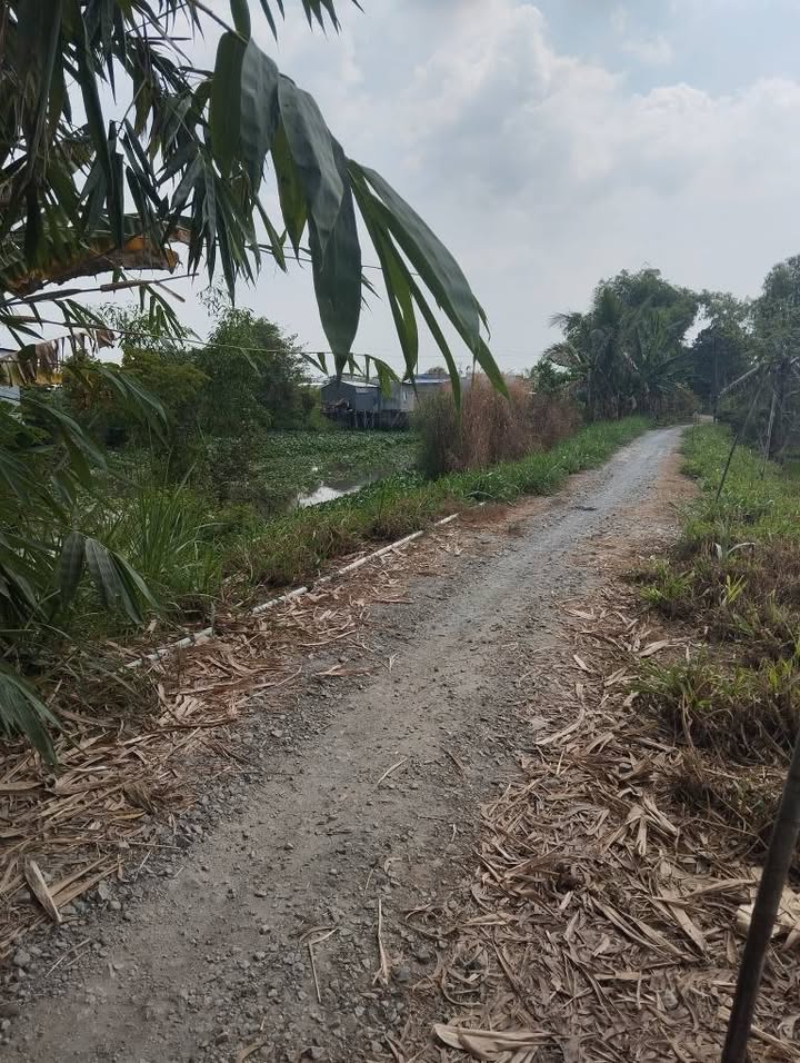 Đất nền 700m² tại Huyện Cao Lãnh - Giá chỉ 340 triệu - Bán gấp trong Tết!