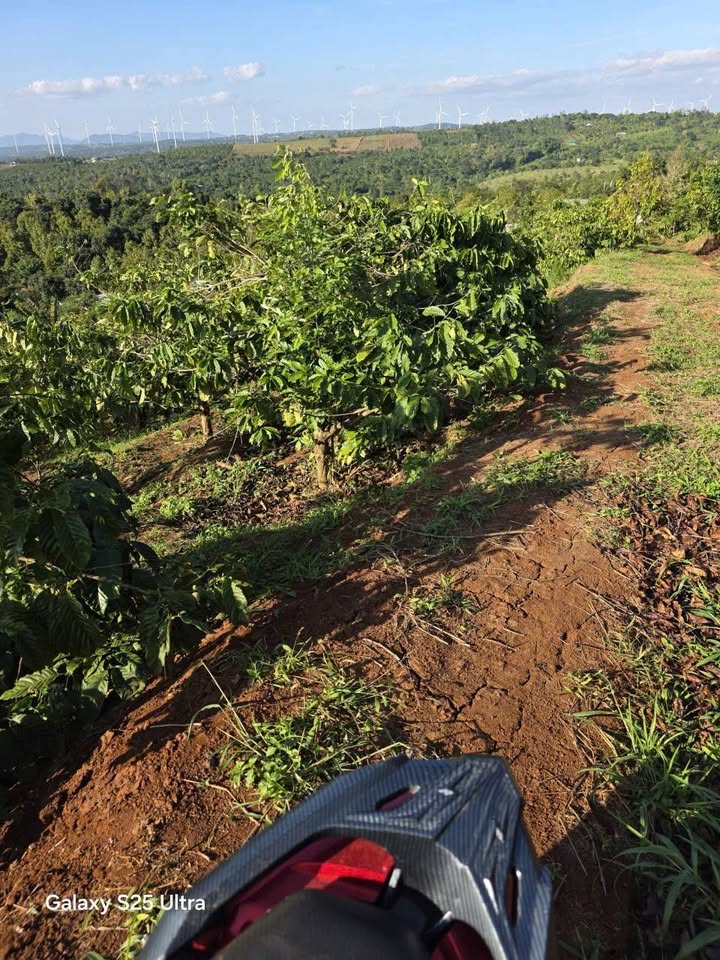 Đất rẫy 2ha tại xã Krông Búk, giá 5.22 tỷ - Cơ hội đầu tư tuyệt vời!