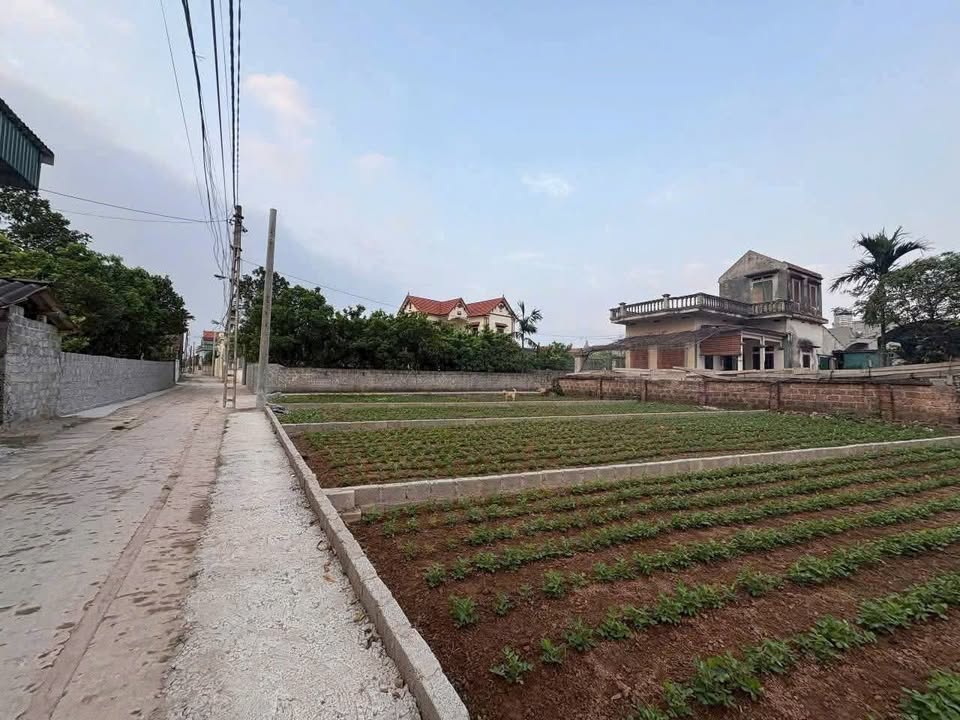 Đất nền xã Quang Lãng, Phú Xuyên, Hà Nội 82m² chỉ 2.1 tỷ - Cơ hội đầu tư tuyệt vời!