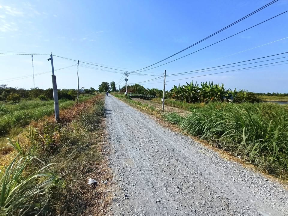 Farm 11.000m² tại Ấp Lý Quàn 1, Tân Phú Đông, Tiền Giang - Khu vực lý tưởng nghỉ dưỡng!