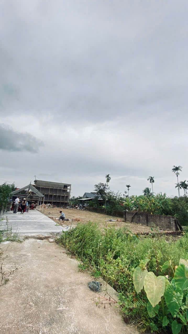 Đất nền Quốc Tuấn, An Lão 62m² giá 690 triệu - Cơ hội đầu tư hấp dẫn!